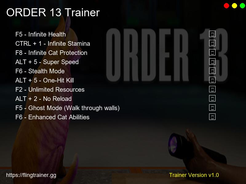 ORDER 13 Trainer Fling